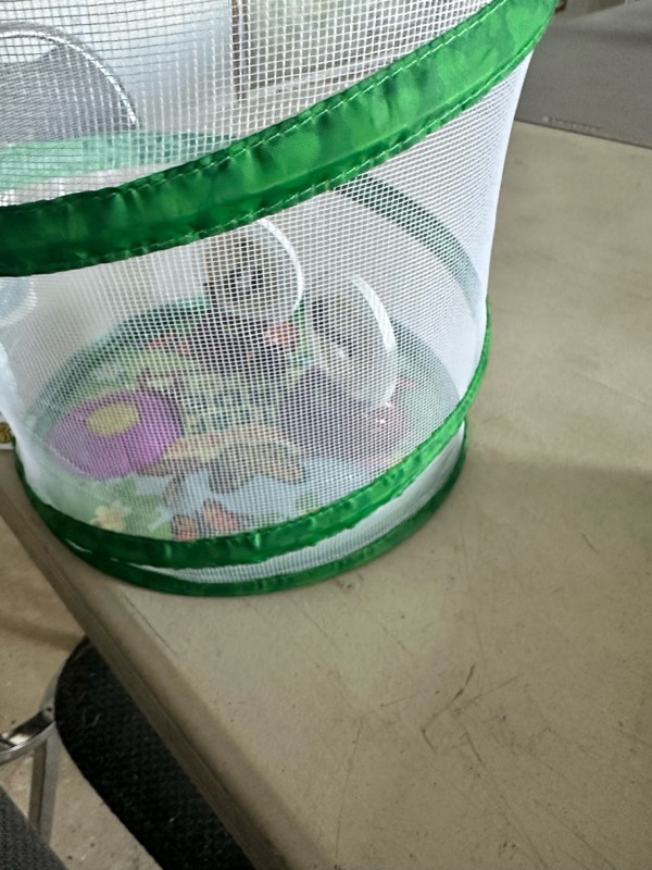 A butterfly habitat on a classroom table
