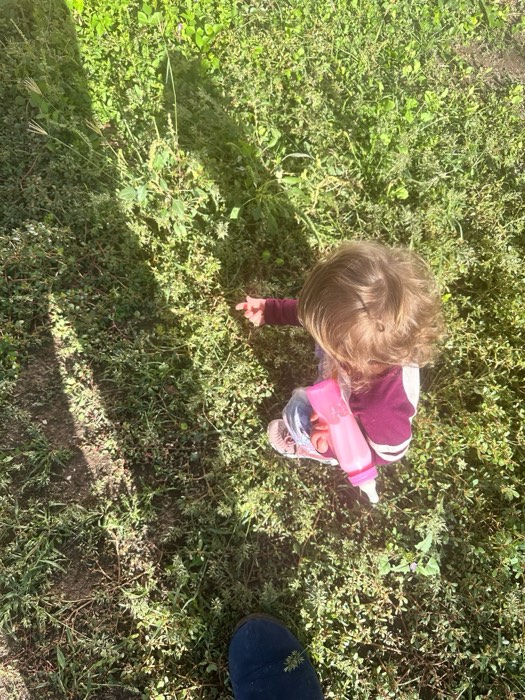 A young student exploring in tall green grass