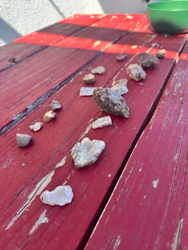 Rocks collected on a nature walk, lined up on a red picnic table